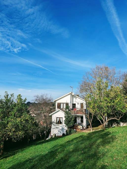 Vila El Mirador De Gijon Cabuenes Exteriér fotografie